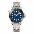 Seamaster Diver Master Co-Axial